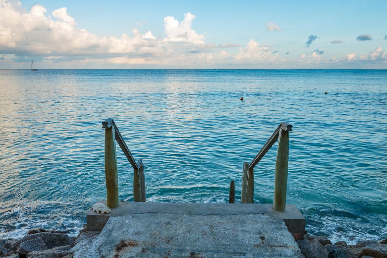 Fleur De Sel Anse Royale Exterior foto