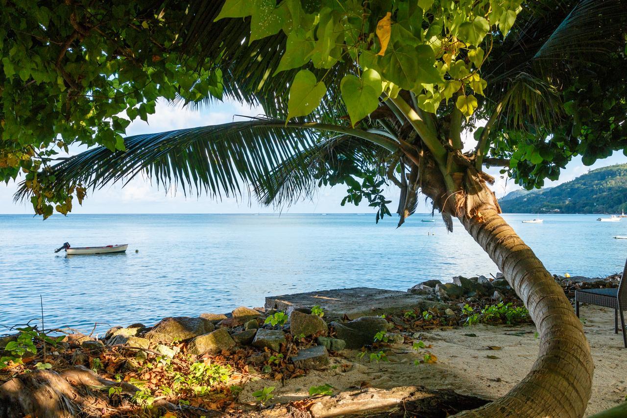 Fleur De Sel Anse Royale Exterior foto